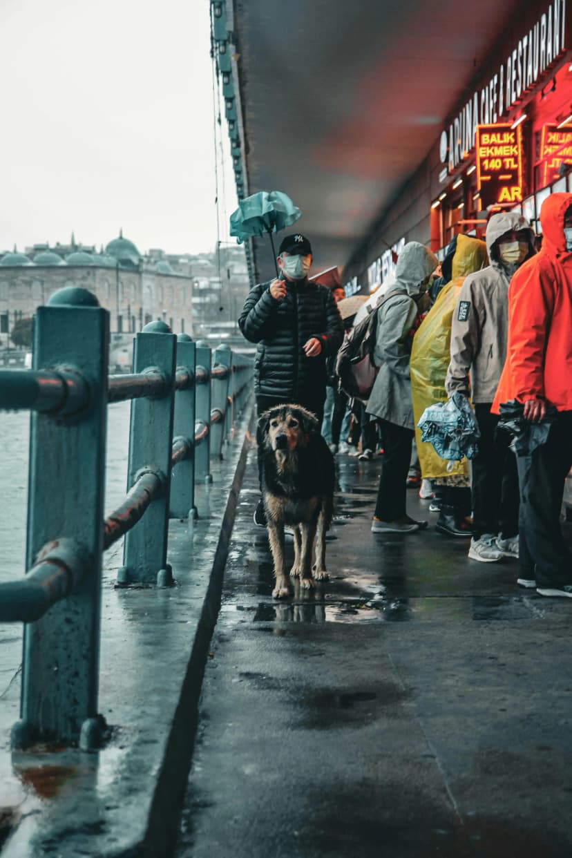 Man with dog on the street